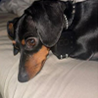 Array image